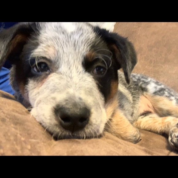 Meet your Posher, Rob - Picture 1 of 1